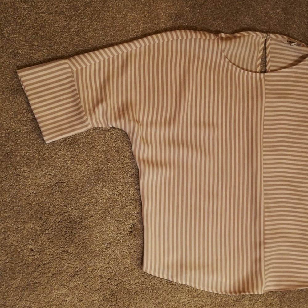 Pale Pink & White Oversized Striped Blouse